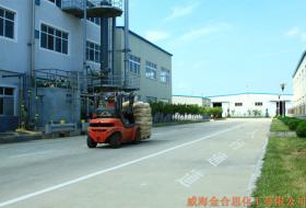 機動車道及人行通道